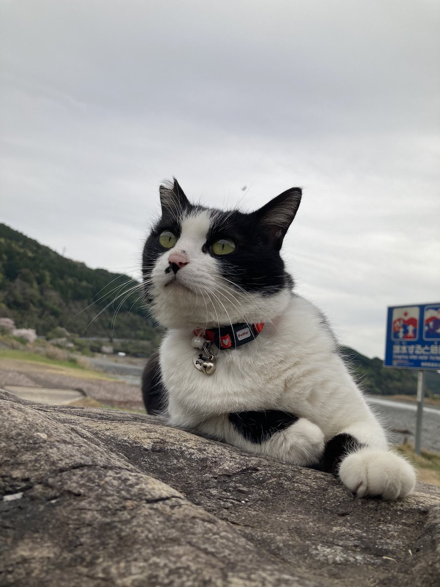 chan😊🐾 tweet media