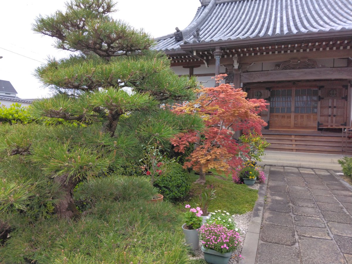 かるら tweet media