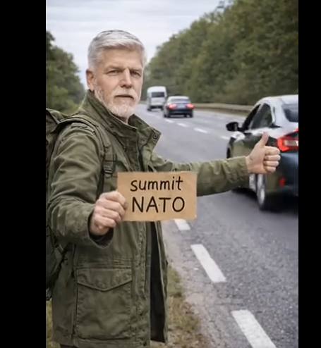 Štefan Komenský tweet media