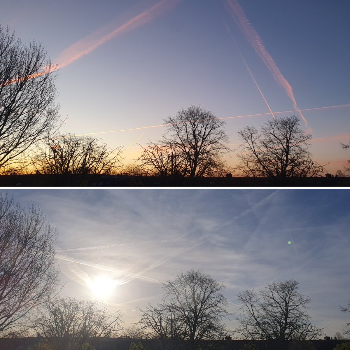 🌸 blueyesuus ♥️ tweet media