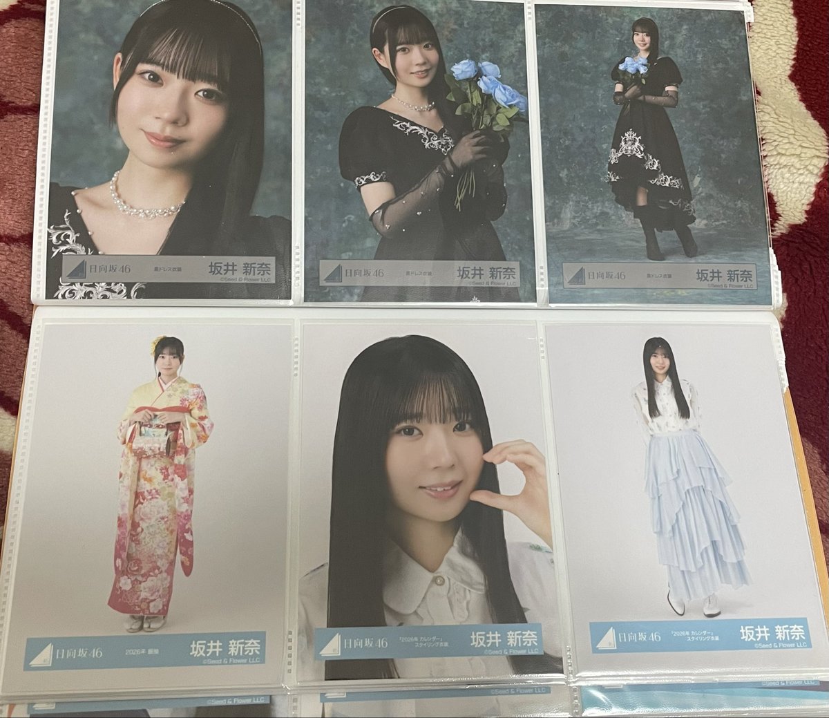 🐰🥕 tweet media