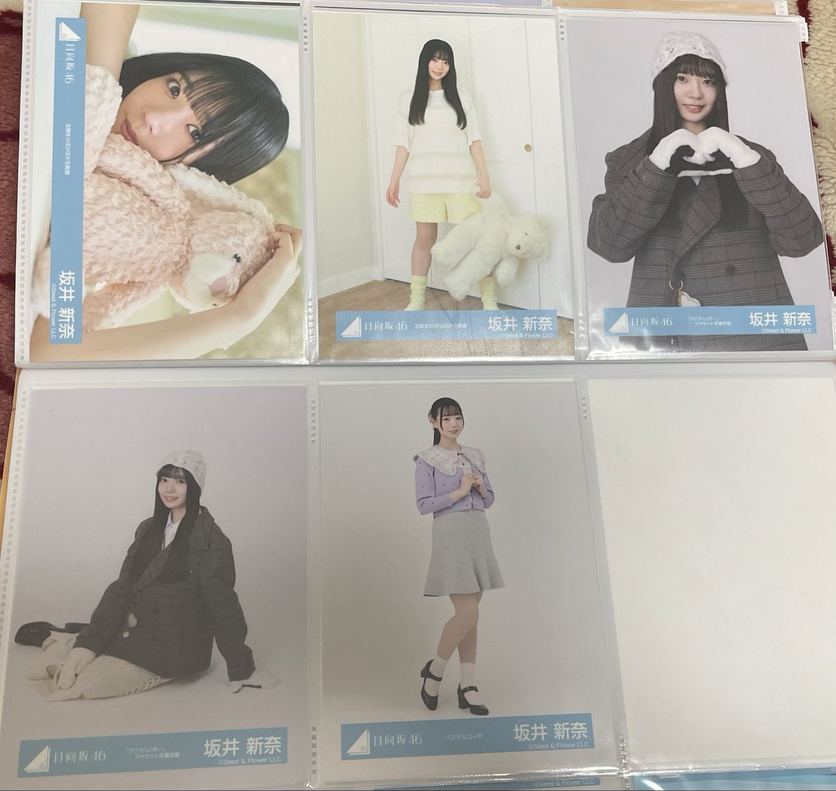 🐰🥕 tweet media