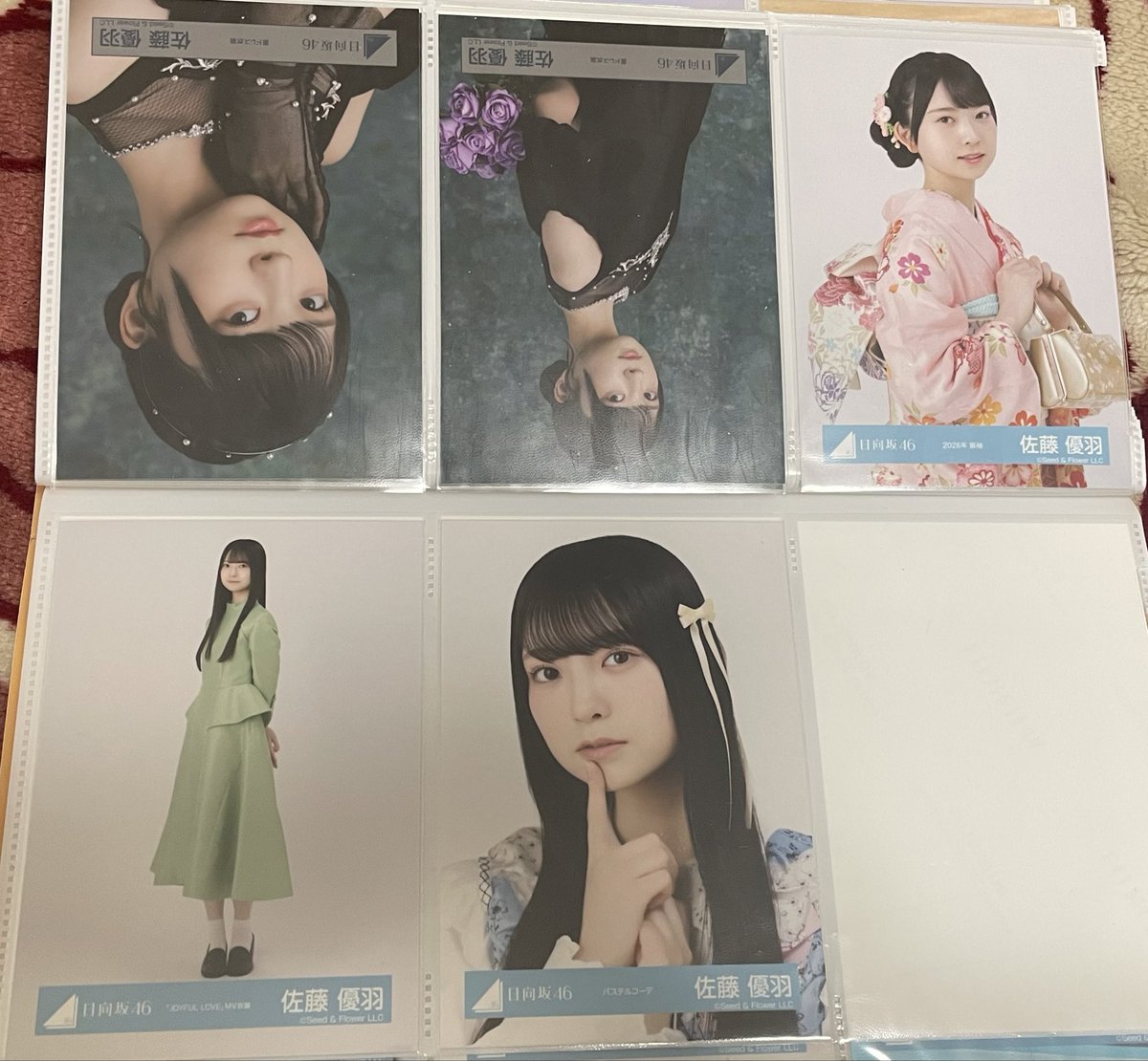 🐰🥕 tweet media