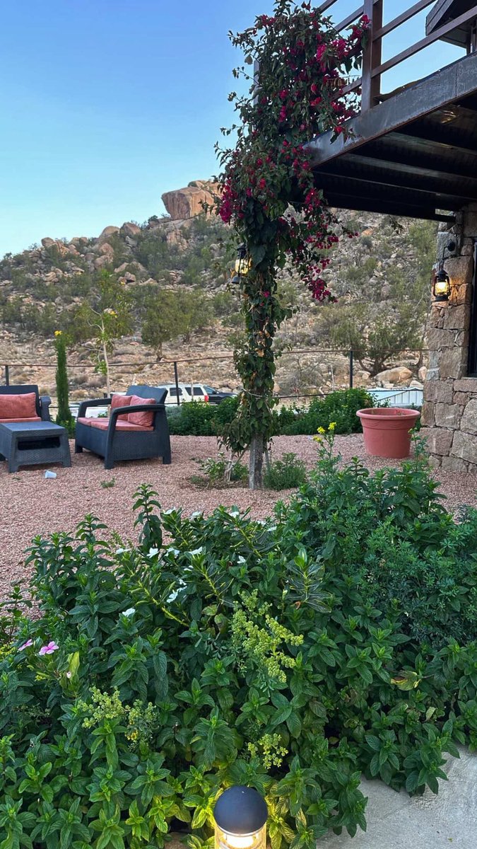 مشعل السفياني tweet media