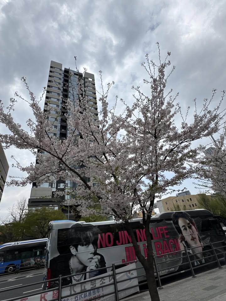 Hallie珍⁷ ֶָ֢𖹭 tweet media