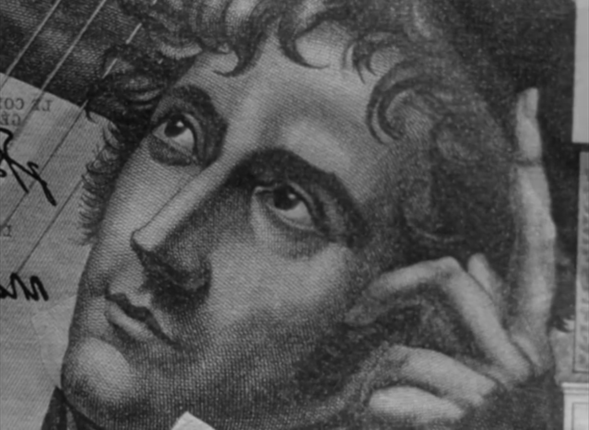 صَقر tweet media