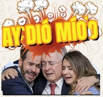 Chócolo tweet media