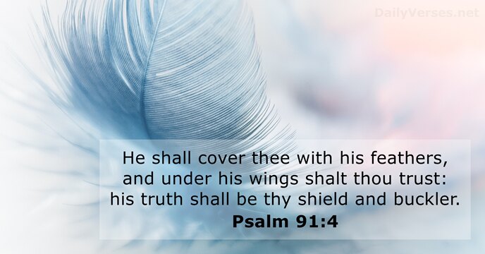 Cairnlodge1's tweet image. A WEE VERSE FOR TODAY:
Monday, 6th April, 2026.

#Psalm 91:4
He shall cover thee with his feathers, and under his wings shalt thou trust: his truth shall be thy shield and buckler.

#KingJamesVersion #KJV
