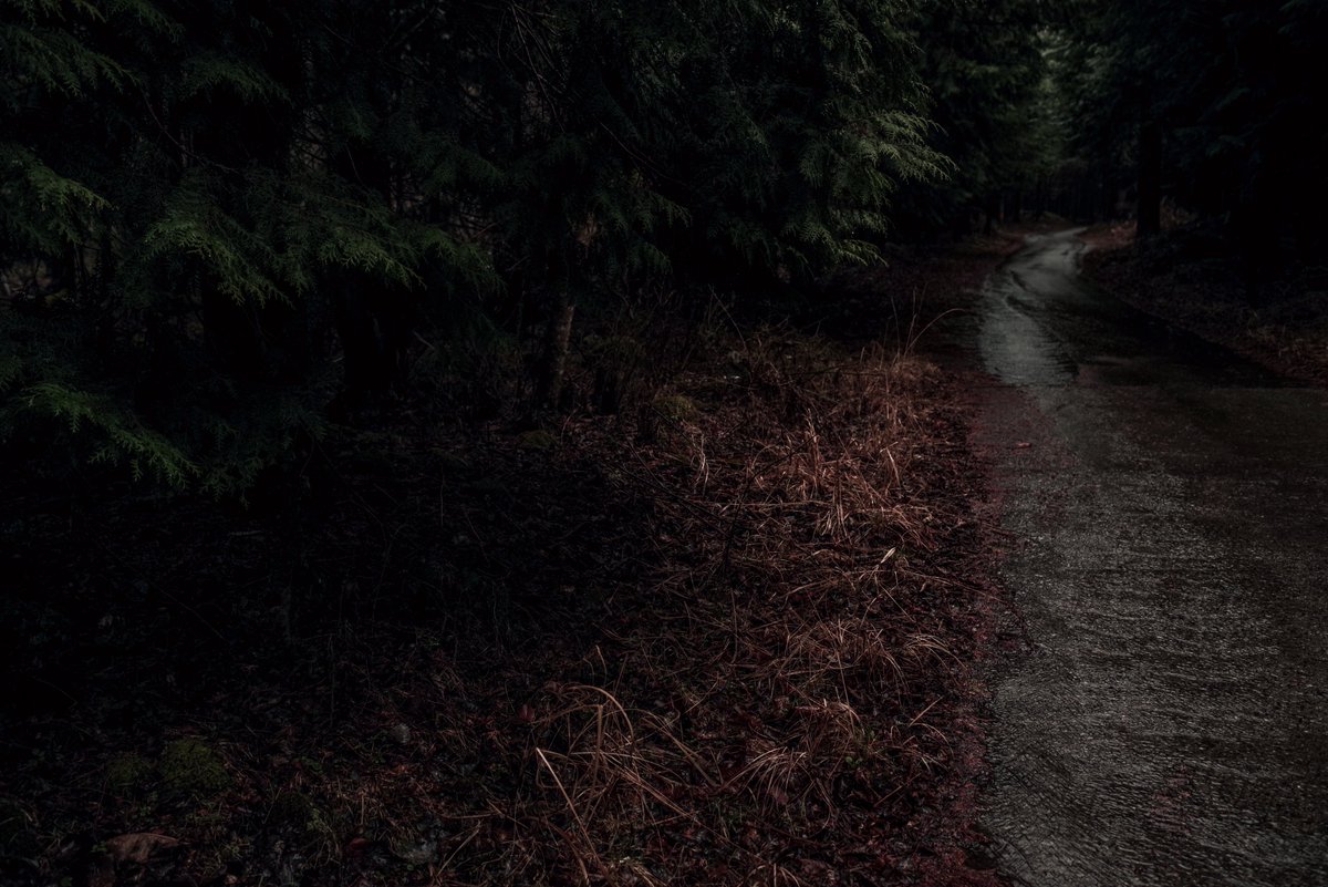 写真家・瀬尾拓慶/Takumichi Seo tweet media