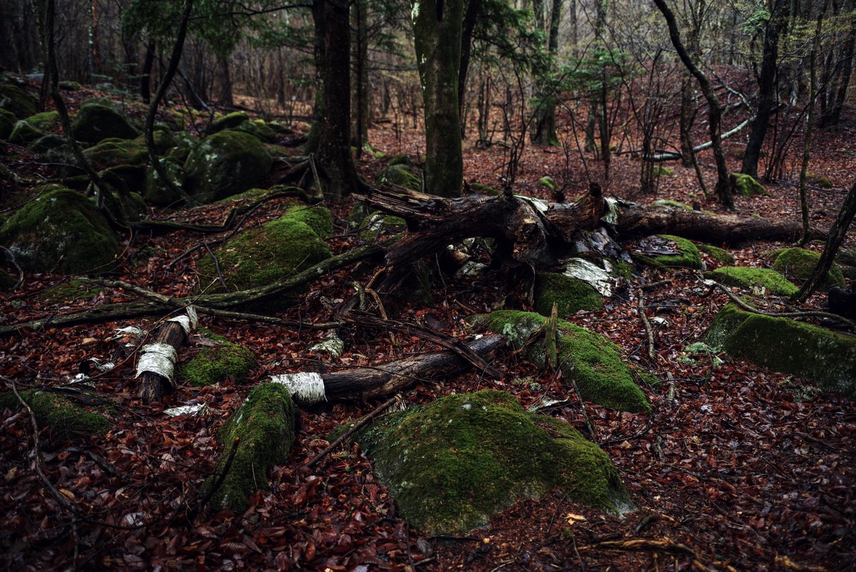 写真家・瀬尾拓慶/Takumichi Seo tweet media