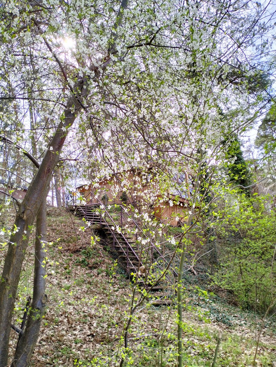 sayuki O tweet media