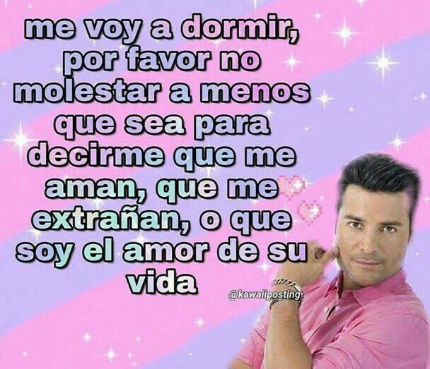 Gabs🐹☆:Dual:☆🪽 tweet media