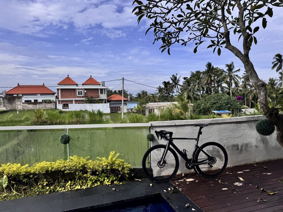 Splin Teron tweet media