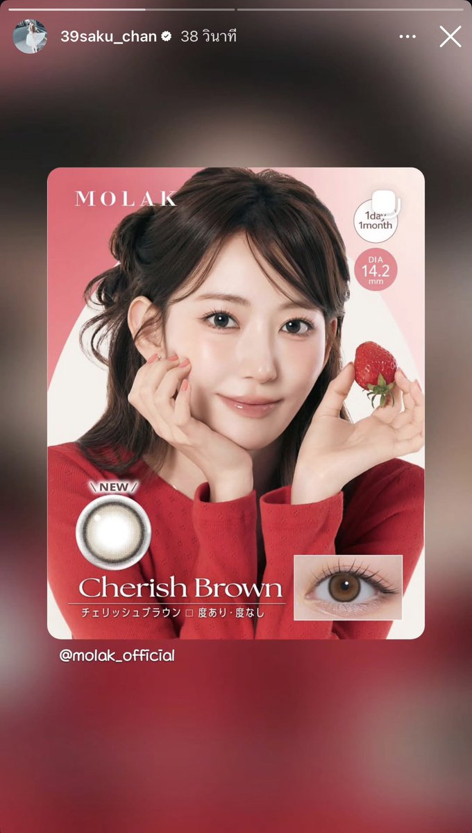 ALLSAKURA 🌸 THAILAND tweet media