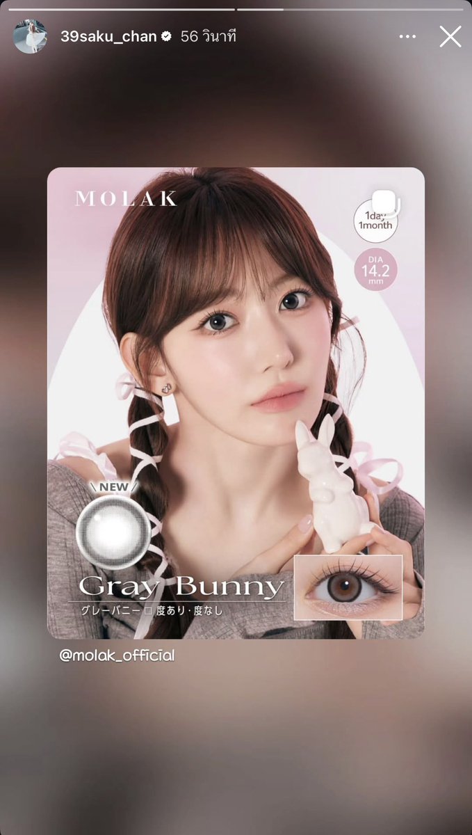 ALLSAKURA 🌸 THAILAND tweet media