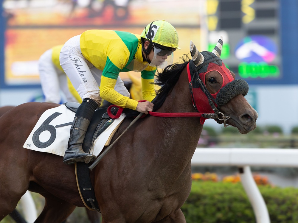 ＹＧＧオーナーズクラブ（一口クラブ） tweet media