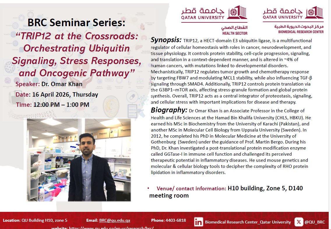 QU_BRC's tweet photo. 📢 Join us for the BRC Seminar Series!

We are pleased to invite you to an insightful seminar titled:🧬 “TRIP12 at the Crossroads: Orchestrating Ubiquitin Signaling, Stress Responses, and Oncogenic Pathways”👨‍🔬 Speaker: Dr. Omar Khan📅 Date: 16 April 2026. 12-1PM https://t.co/2n5Zgcpt9c