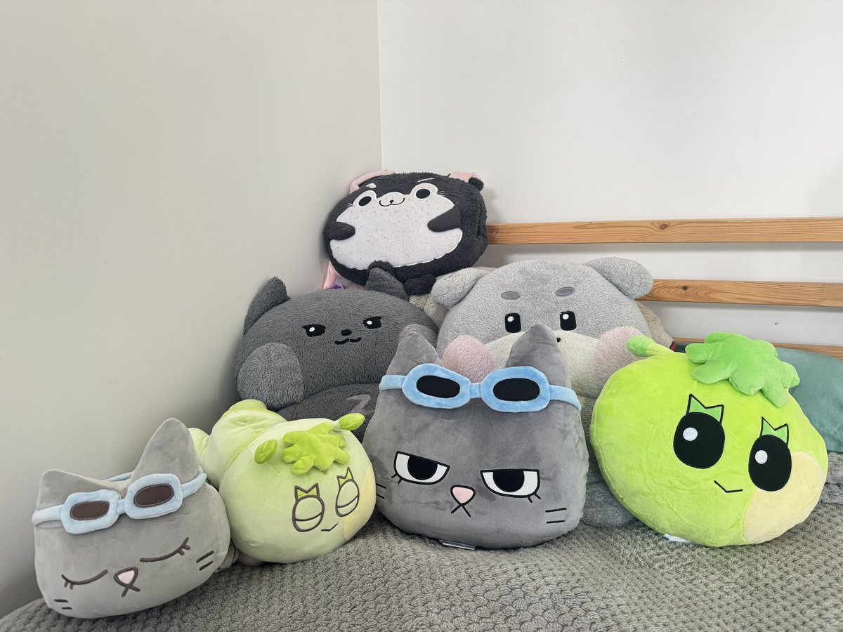 iihanoddboii's tweet photo. my babiess 🤍🤍 https://t.co/oVXgvFTkYY