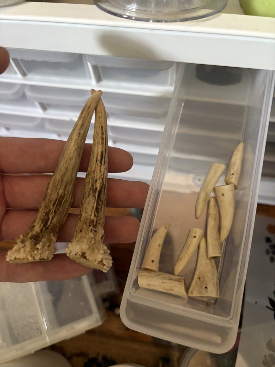 spencer 𓆟 tweet media