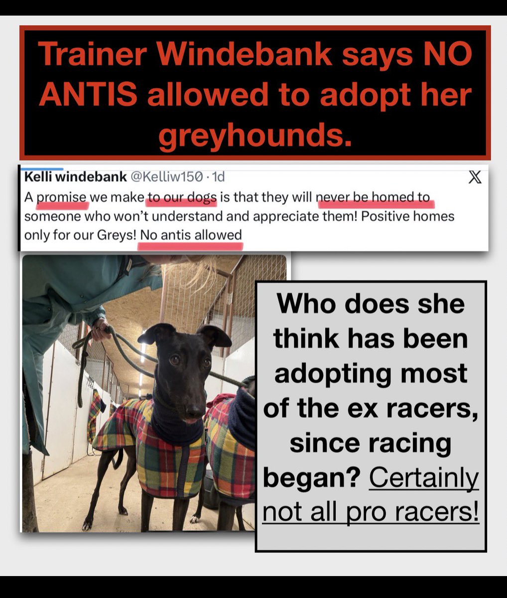 Robbie Grey#proudtobeananimalextremist tweet media