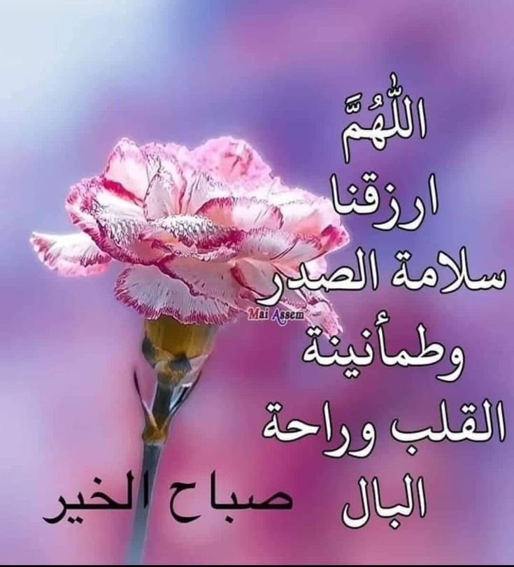 ام فواز tweet media