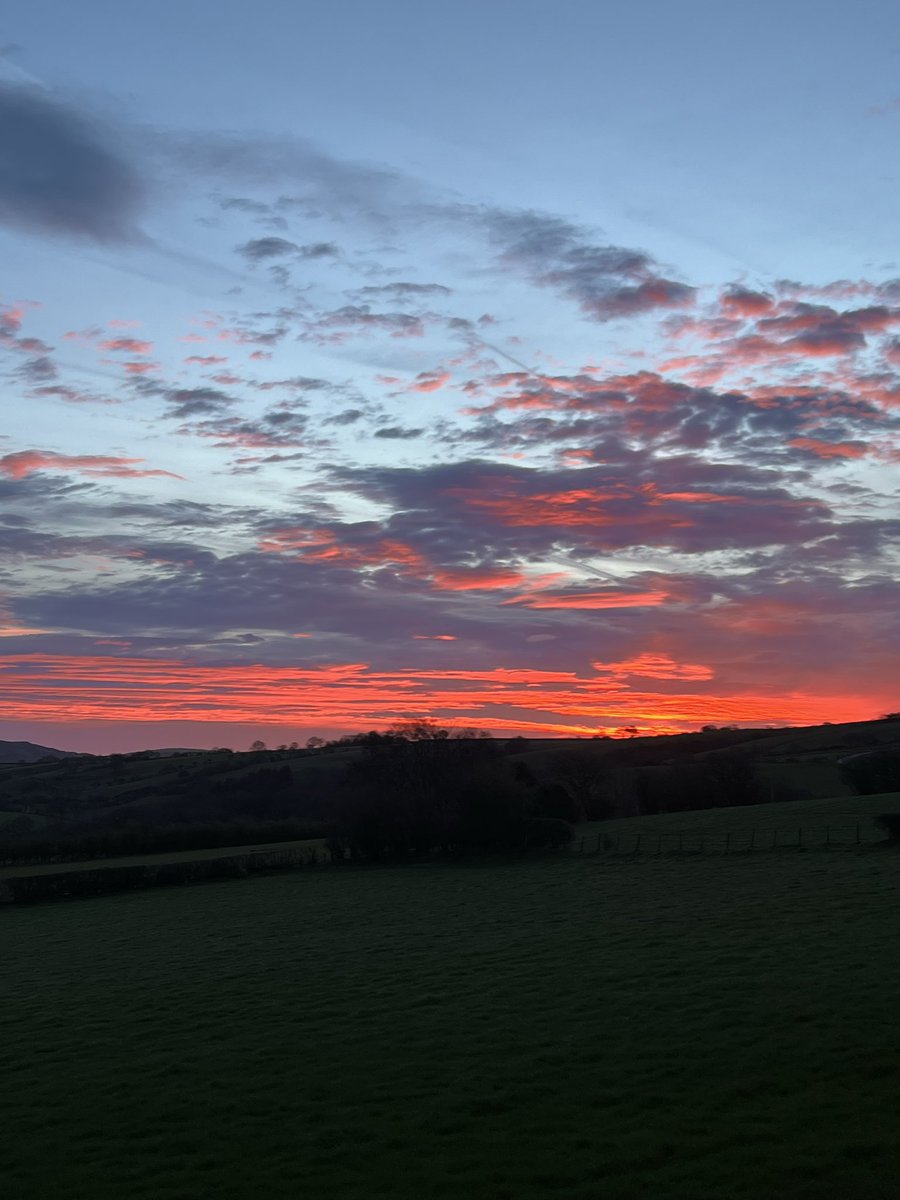 El 🏴󠁧󠁢󠁷󠁬󠁳󠁿🐑🐮 tweet media