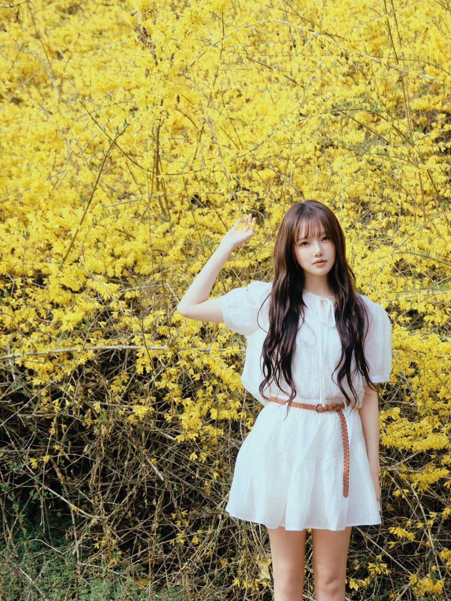 다은ෆ tweet media