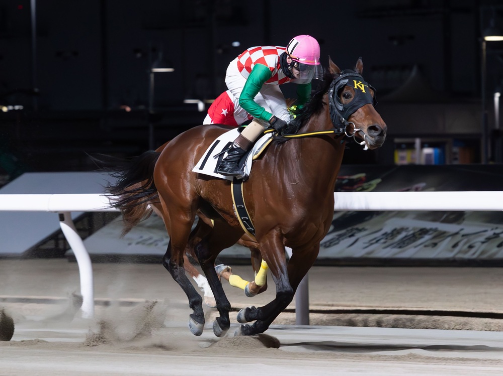 ＹＧＧオーナーズクラブ（一口クラブ） tweet media