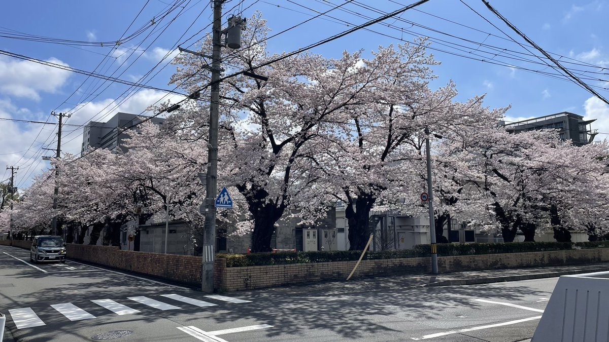 東北ろっけん雑学メディア：NEFT（ネフト）編集部 tweet media