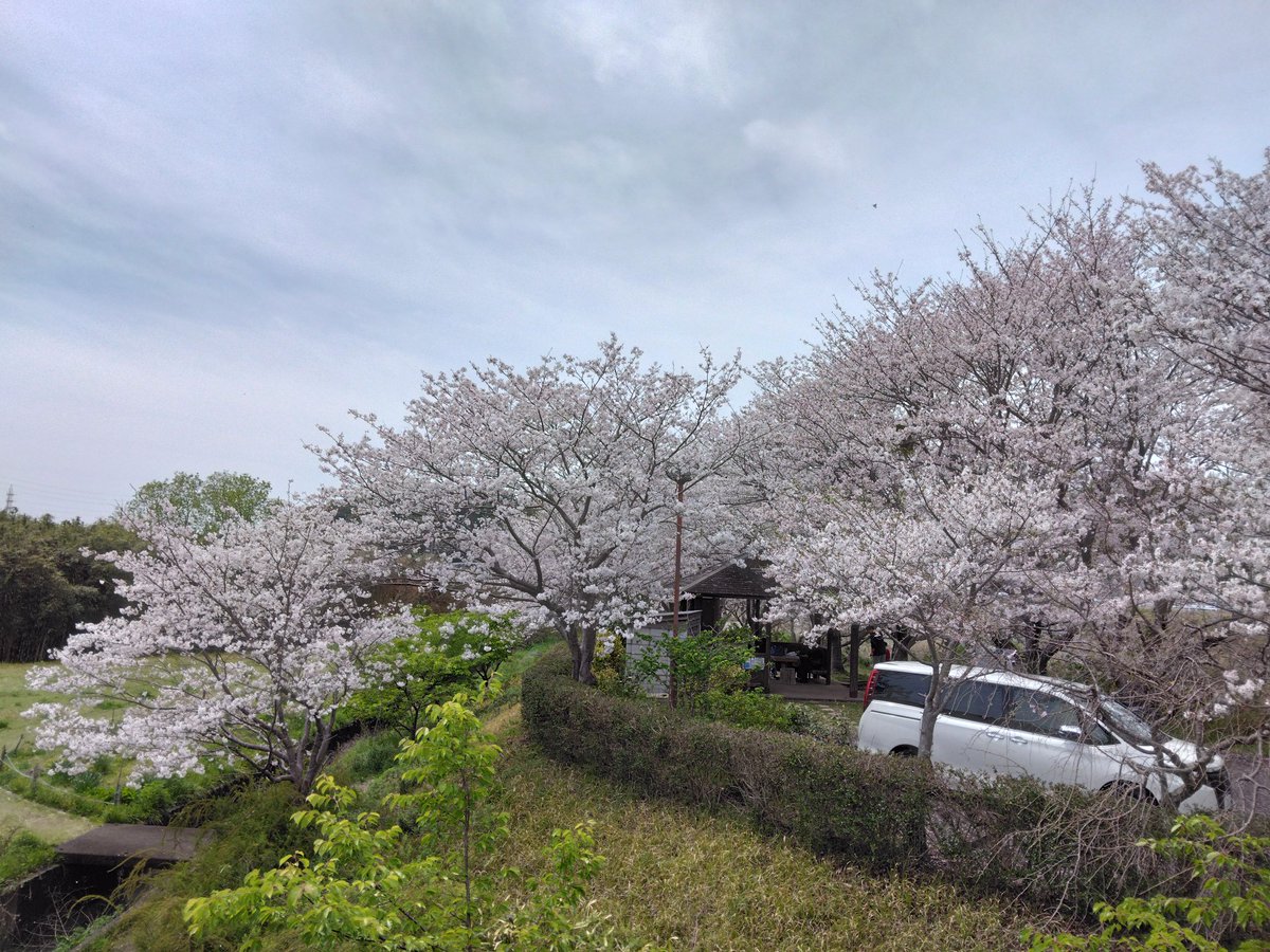 かるら tweet media