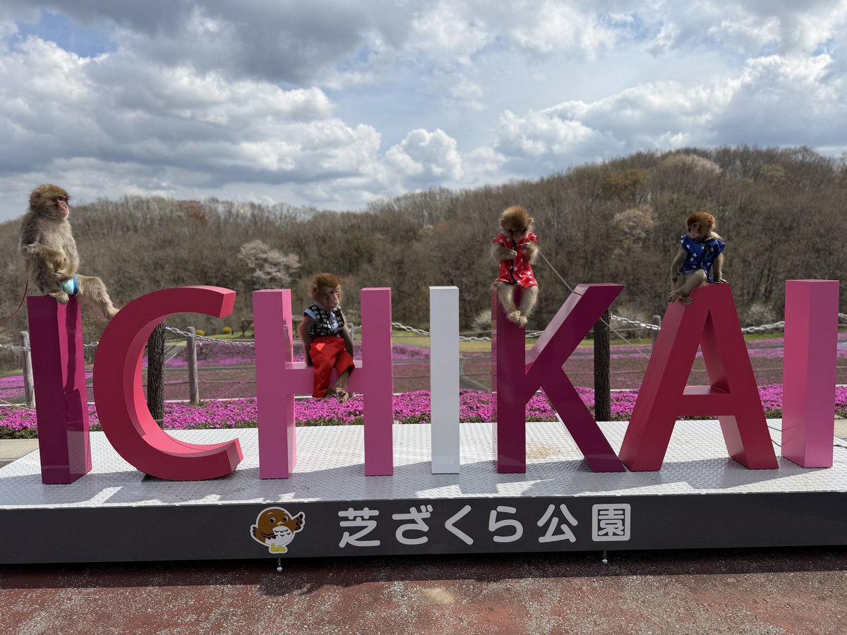 利美トレーナー tweet media