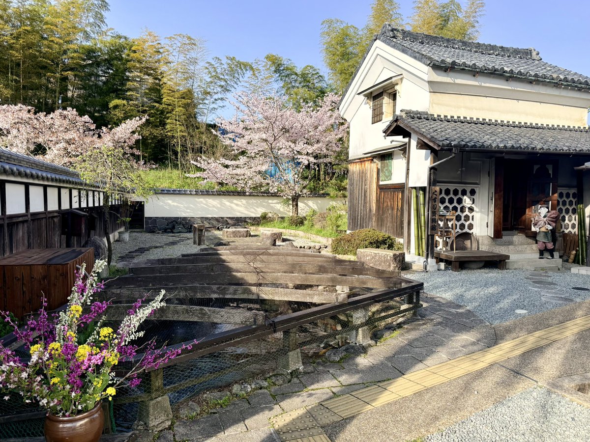 tsukasa okui tweet media