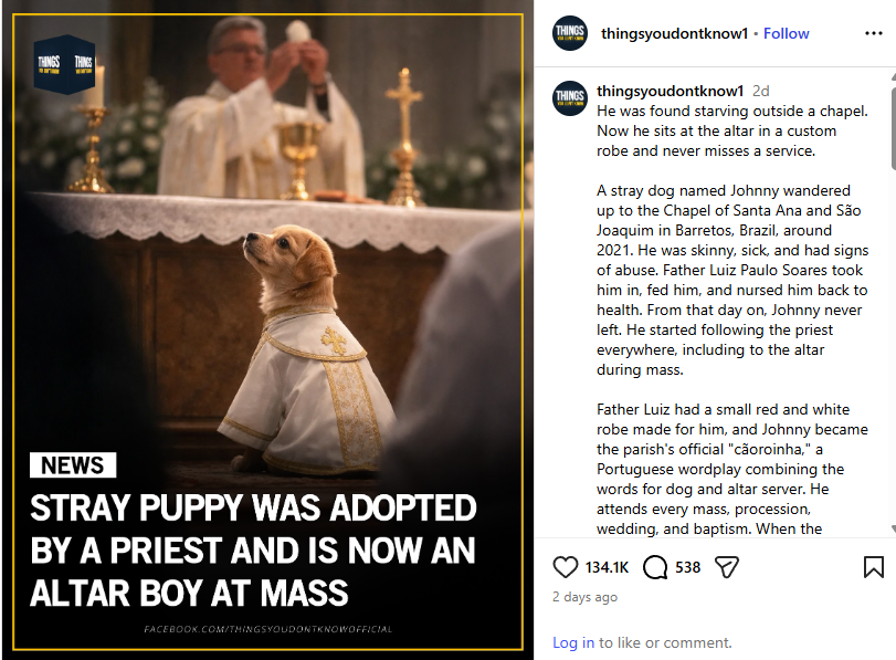 Pintoshi tweet media