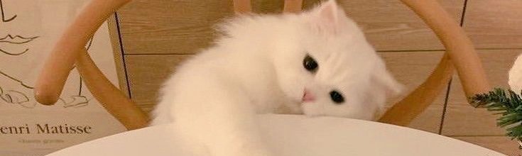 Mani🚩 tweet media