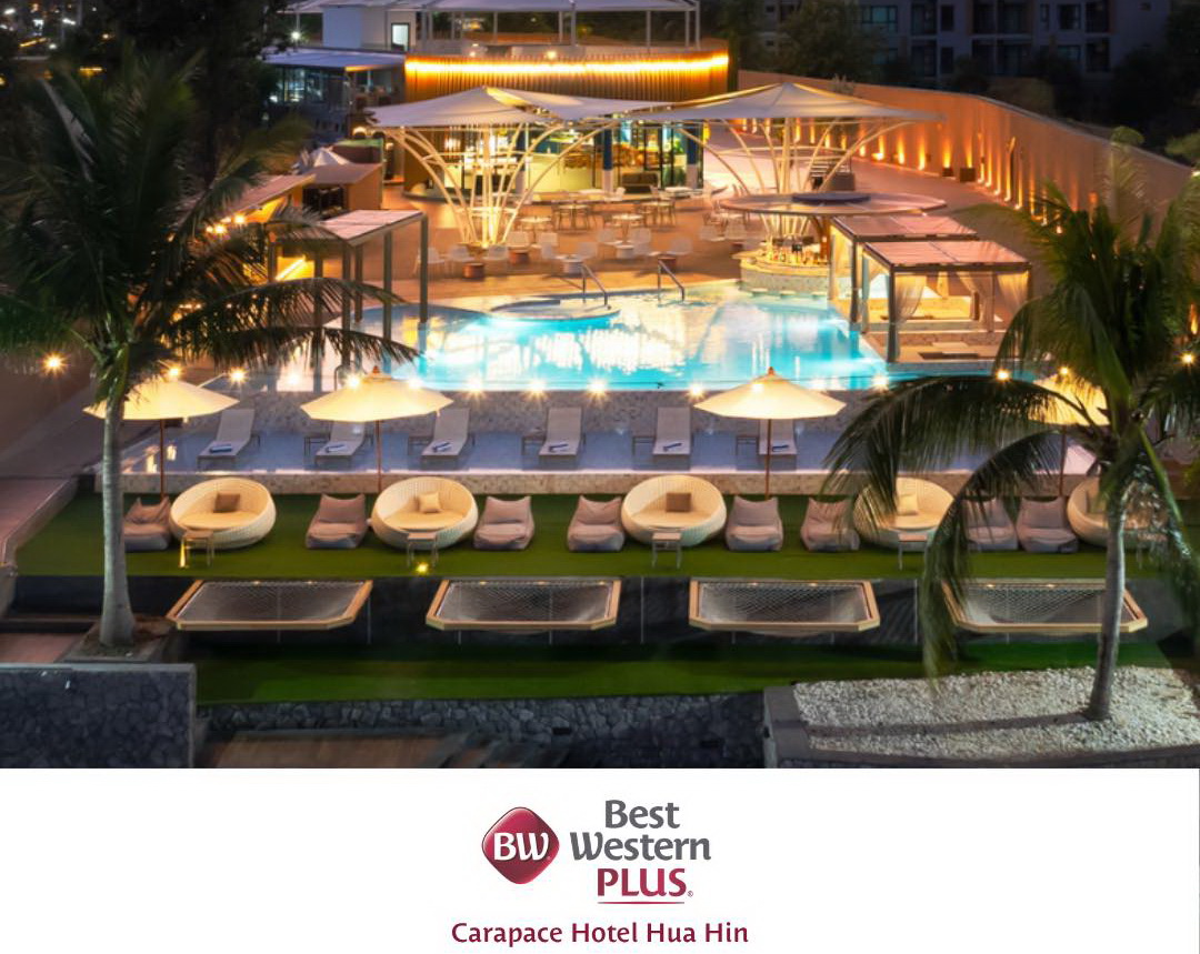 nnntcrล์ tweet media