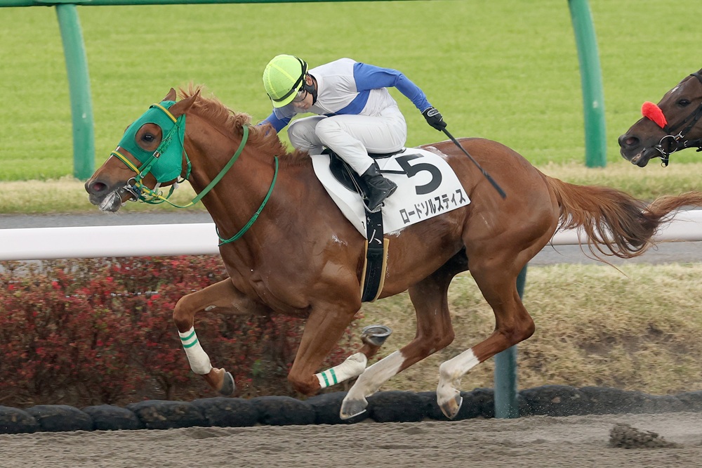 ロードサラブレッドオーナーズ【公式】 tweet media