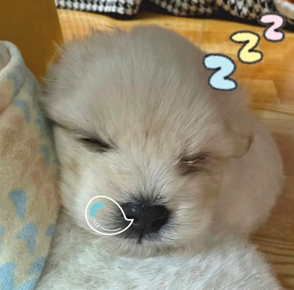 byiwh_🍓🐯 tweet media