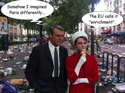 JP Van Dyck tweet media