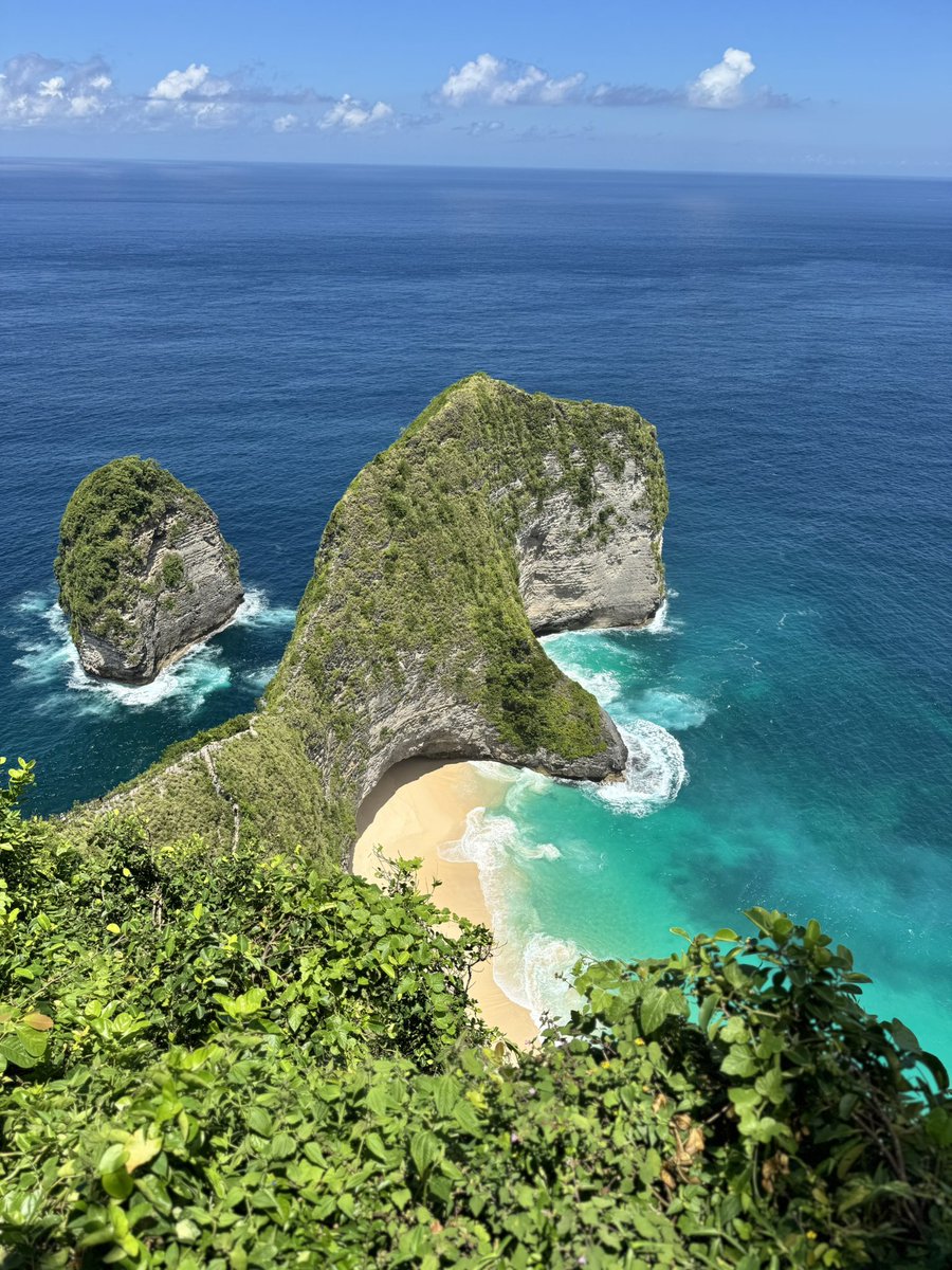 Popo Junior tweet media