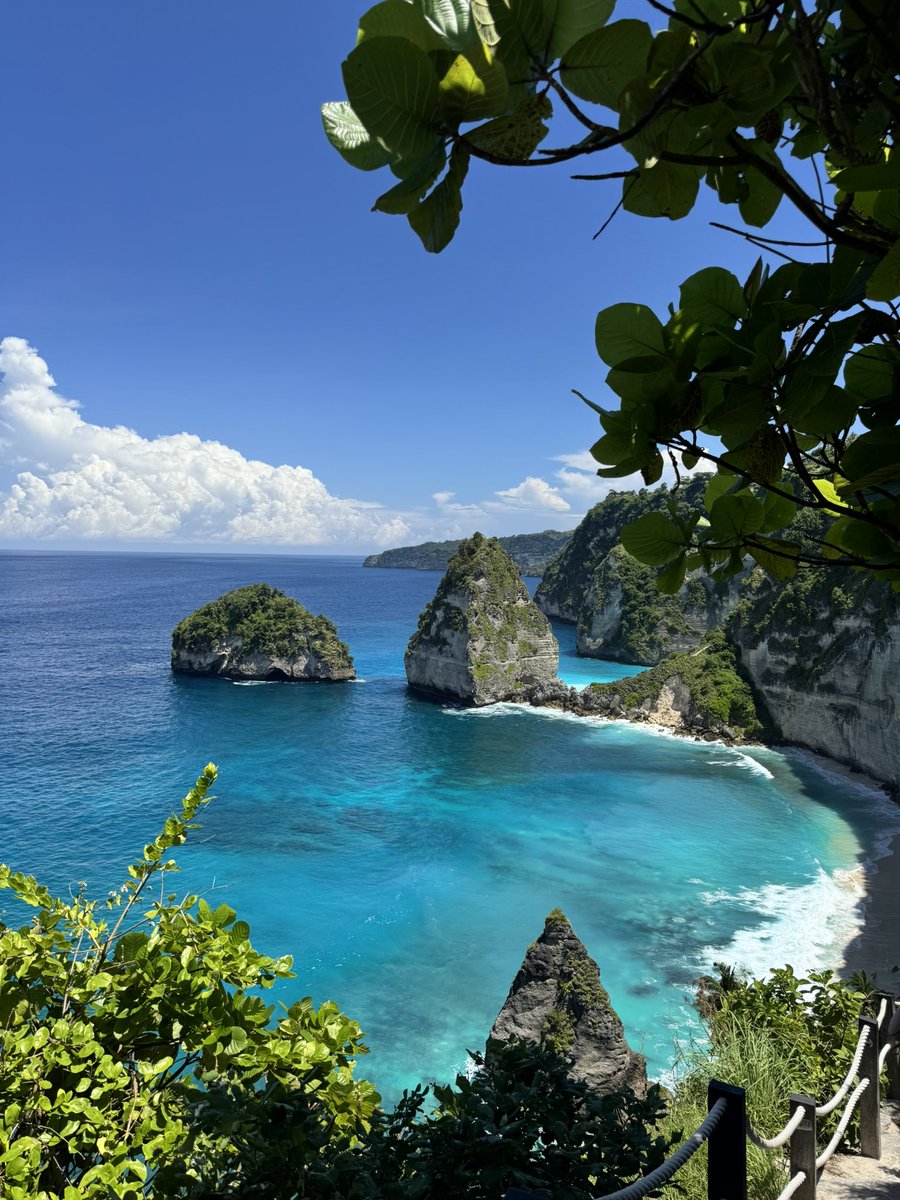 Popo Junior tweet media