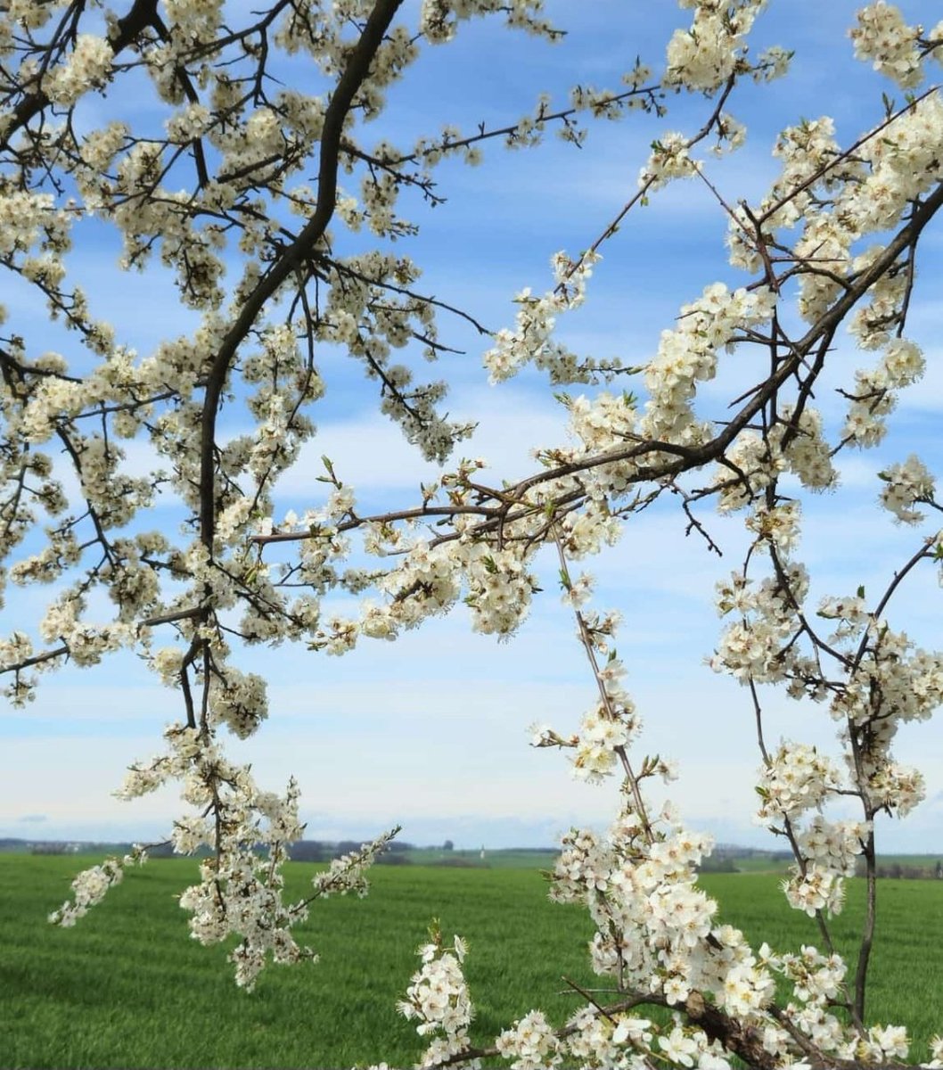 Constanze Riegel tweet media