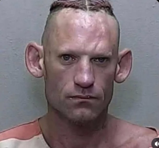 Oliver Twist 🪢 tweet media