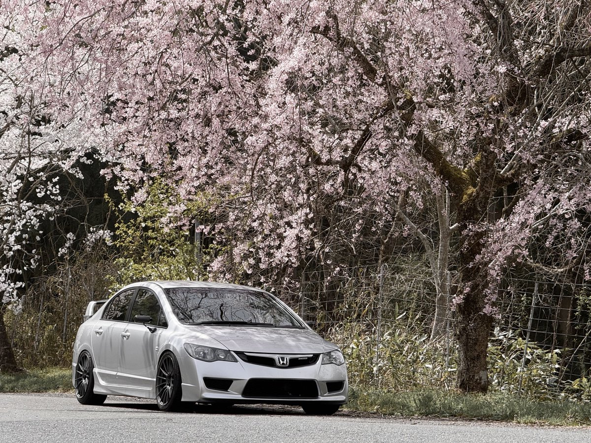 バッサー🦀 tweet media