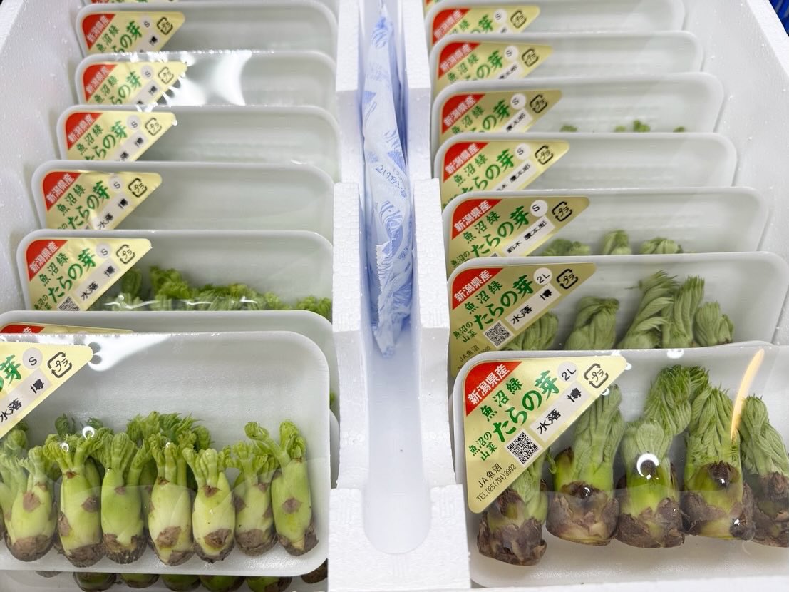 🌿春の味覚 山菜🌿

自然の恵みをたっぷり感じられる山菜が入荷してます！

#行者ニンニク 
香り高く、スタミナ満点。炒め物や餃子、醤油漬けにもおすすめ。

#ふきのとう
ほろ苦さが春の訪れを感じさせる一品。天ぷらやふき味噌でどうぞ✨

#こごみ