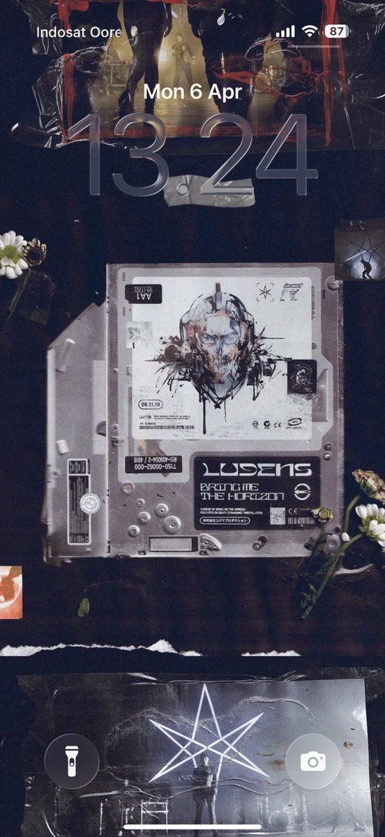 flight bumblebee tweet media