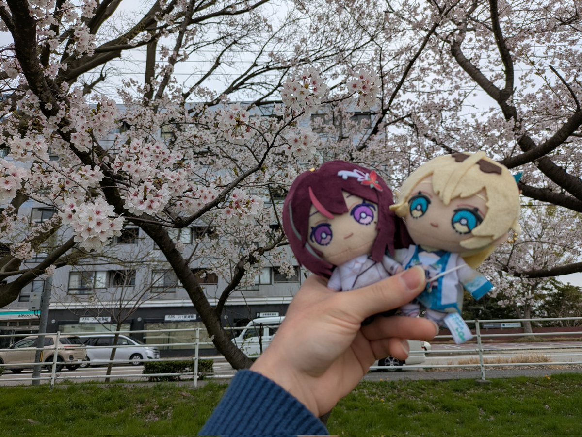 アレス⚒️🍃🪶😈🌲 tweet media