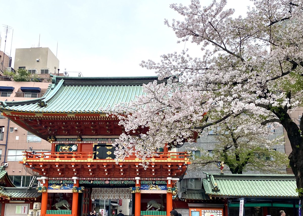 中野健彦／出版プロデューサー tweet media