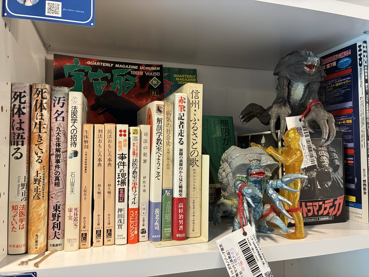 蔵の自由人 tweet media