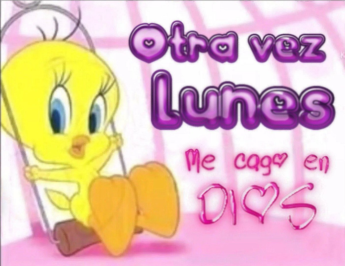 chincheto pirata somali tweet media