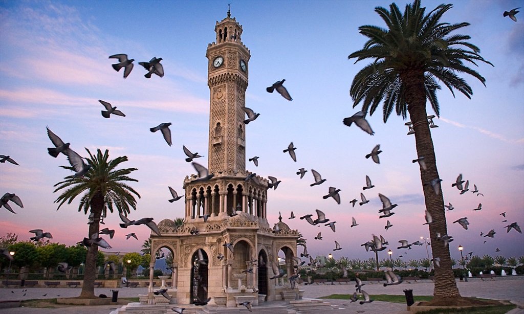 Dr.Tunç Taşbaş 🇹🇷 tweet media